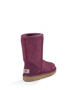 KID's Classic Short Violet 5251